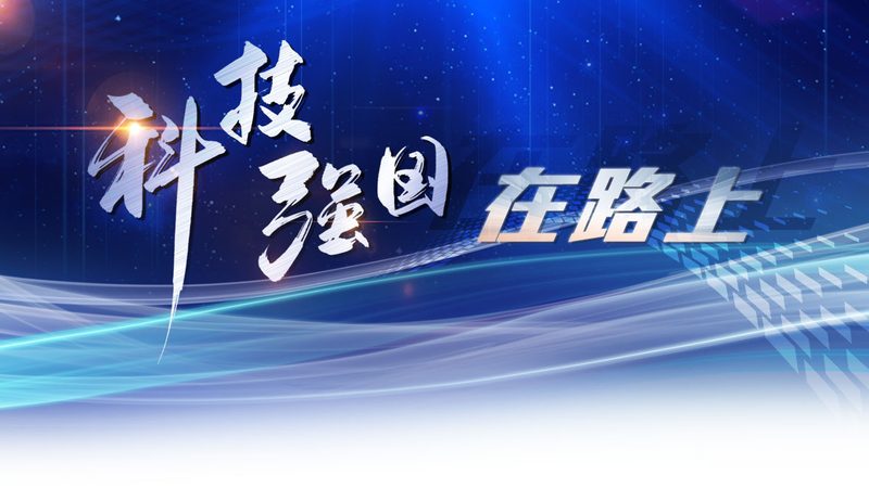 企业数据定制化服务：揭秘其价值与选择要点
